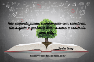 15 Frases De Sabedoria Para Refletir - Frases De Sabedoria