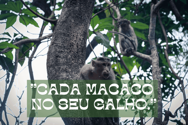 Mais de 100 Ditados Populares Ladrão que rouba ladrão tem cem anos de perdão.