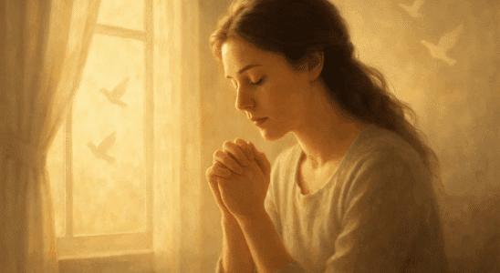 Oração pela Paz – Consolo na Aflição